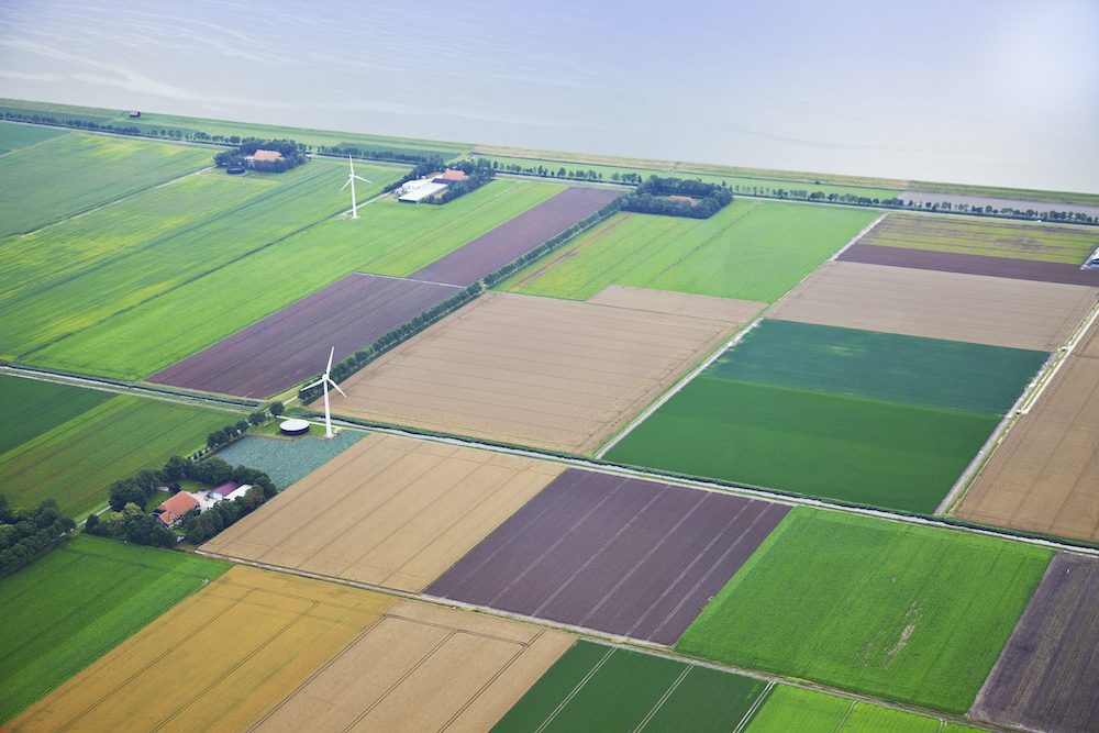 Farmland in Guelph Ontario